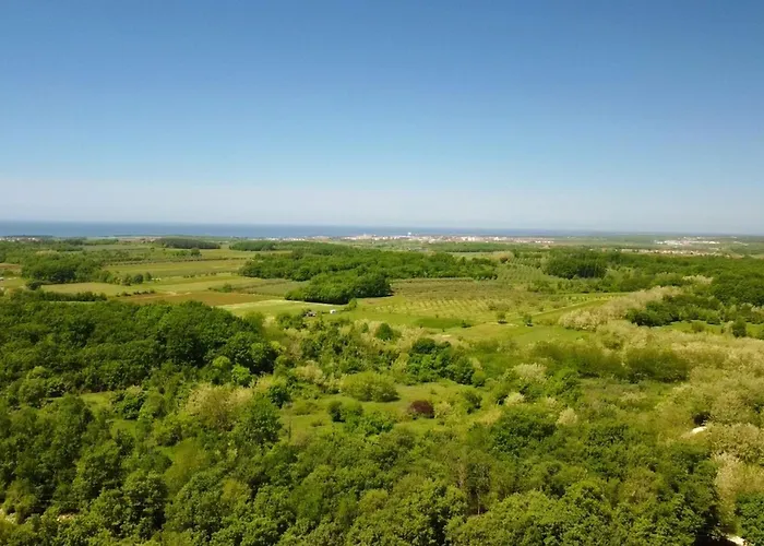 Relaxing With Shared Pool